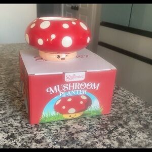 NWBOX SHUMIEZ mushroom planter